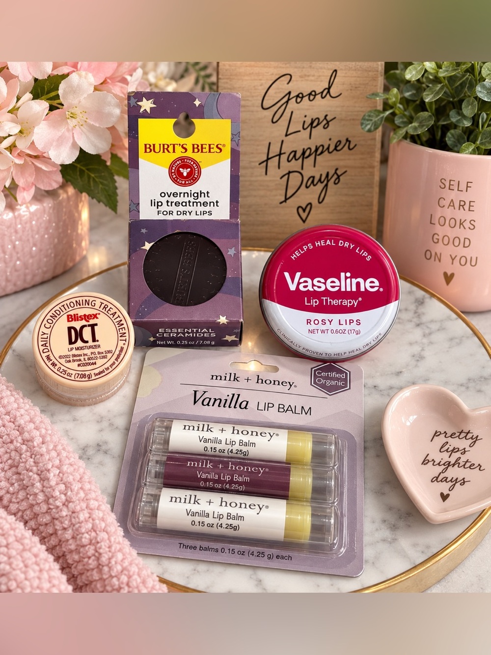 Lip Care Bundle 6pc Burt’s Bees Vaseline Blistex Milk + Honey